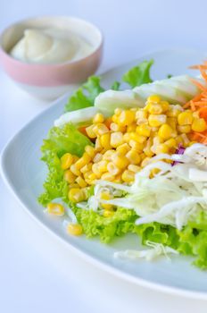 fresh salad with fruits and mixed vegetable on dish served with white cream sauce