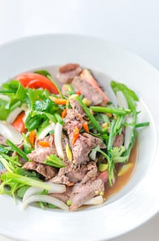 Spicy salad of roasted beef , Thai style cuisine