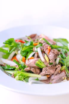 Spicy salad of roasted beef , Thai style cuisine
