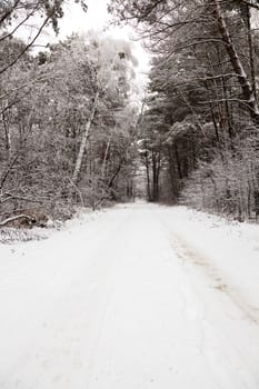   the small road photographed in a winter season