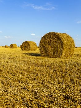  the stack of straw which is on an agricultural field