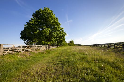  the wooden fence which is fencing off the road and a field. Belarus