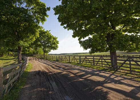  not asphalted road conducting on a farm. rural areas. Belarus