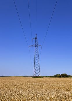   the high-voltage lines of electric transfers being in an agricultural field