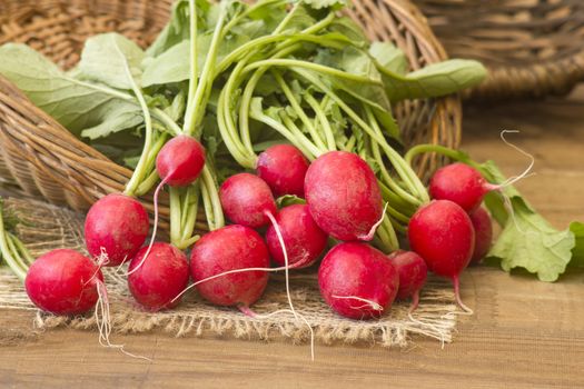 Fresh radishes on old wooden table