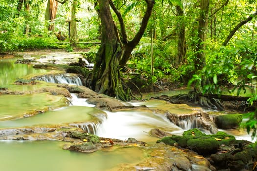 Deep forest Waterfall, Beautiful nature in Thailand