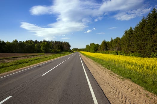   the small rural asphalted road photographed in summertime of year. Belarus