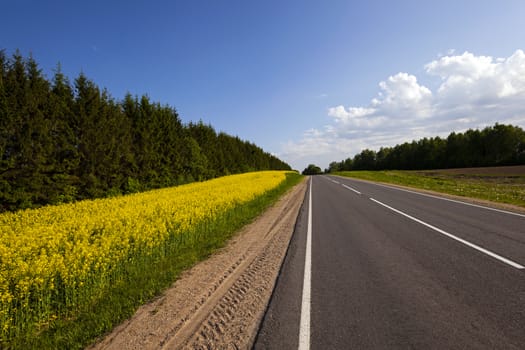  the small rural asphalted road photographed in summertime of year. Belarus