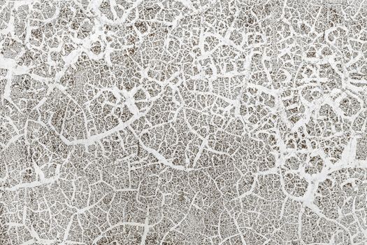 Grunge White Background Cement Old Texture Wall