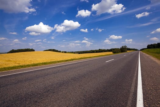   the small rural asphalted road photographed in summertime of year. Belarus