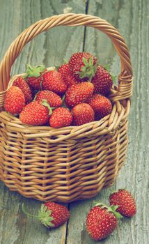 Fresh Ripe Forest Strawberries in Wicker Basket isolated on Rustic Wooden background. Retro Styled