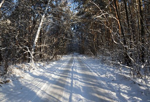  the small road photographed in a winter season