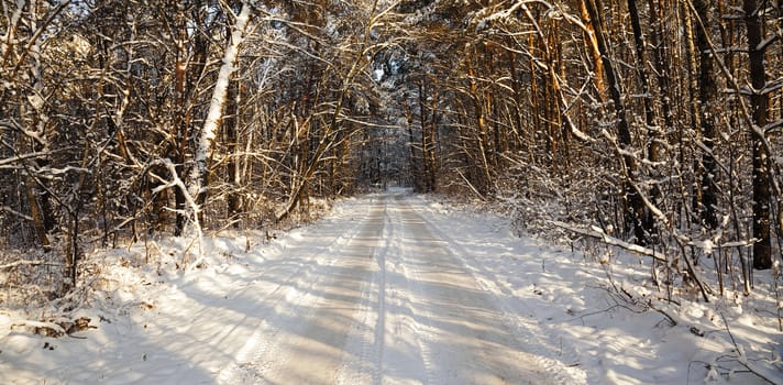   the road covered with snow to a winter season