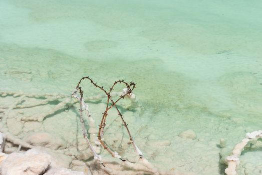 Barbed wire lying covered with salt in the shallow waters of the Dead Sea, Israel.