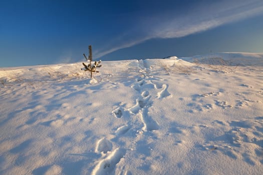   the agricultural field covered with snow. winter season. Belarus
