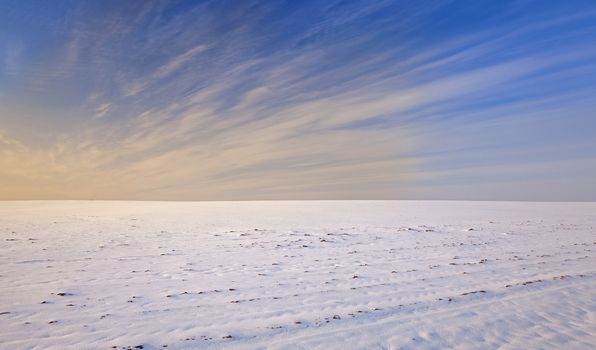   the agricultural field covered with snow. winter season. Belarus