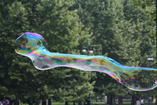 Giant soap bubbles created with ropes and sticks in a park