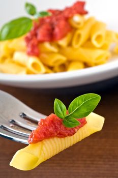Pasta with tomato sauce basil - Garganelli al pomodoro e basilico