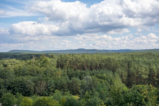 Forest at Brombachsee near power plant