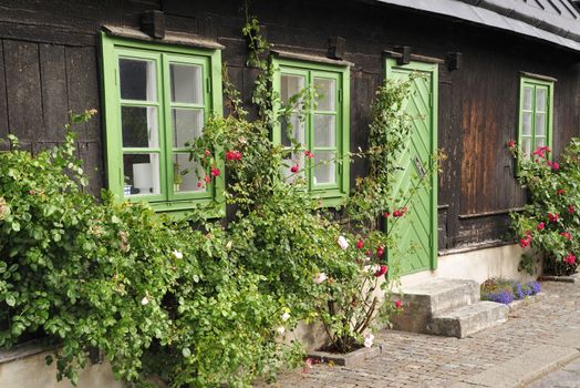 Swedish housing, Visby in Gotland.