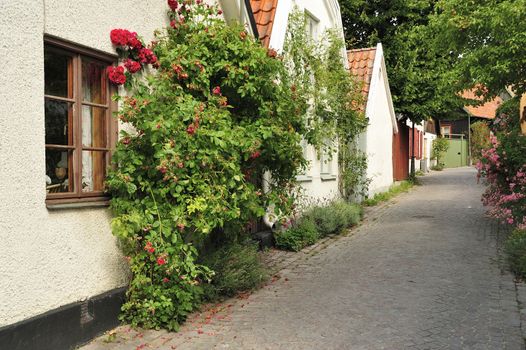 Swedish housing, Visby in Gotland.