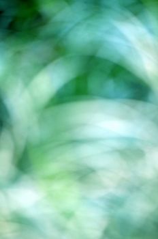 Natural blur background of green garden