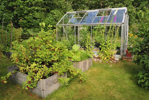 Small vintage greenhouse