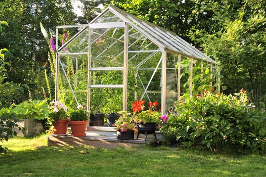 Small vintage greenhouse