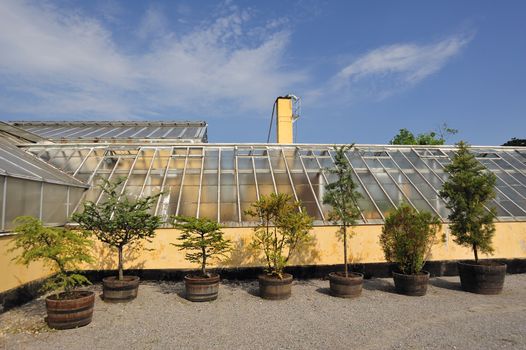 Old Greenhouse in Bergianska garden in Stockholm.