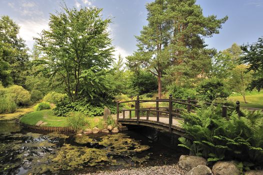 Japanese water garden in Bergianska - Sweden.