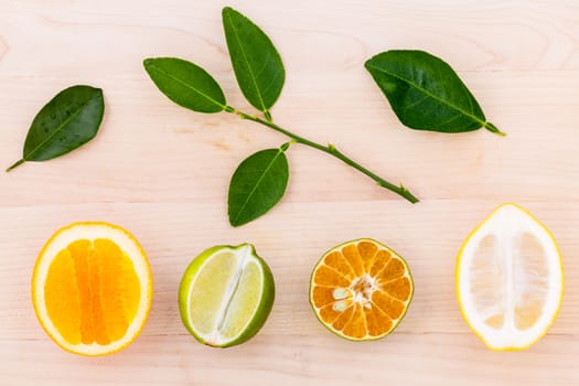 Mixed citruses fruit oranges, lemon and lime on wooden background with orange leaf.