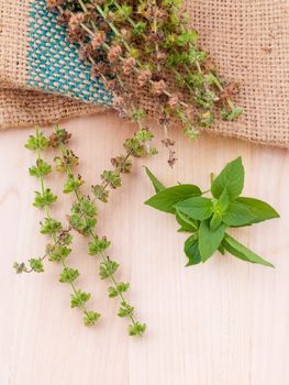 Lemon basil flower and seed with leafs prepair to planting next season.