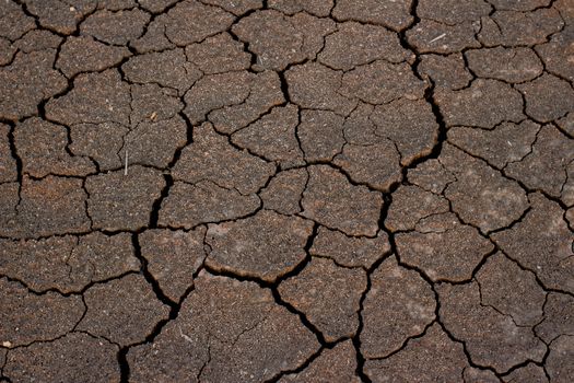Drought land background texture