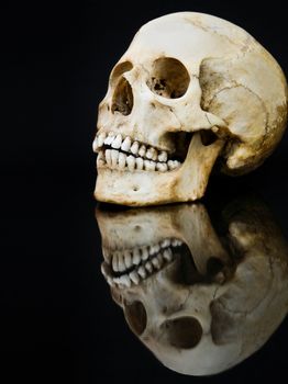 Human skull with mirror image isolated on black