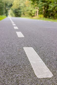 White stripes on road in nature