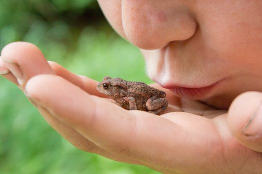 Child kissing frog on his hand. Mouth close to animal