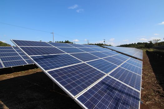 Solar Cell Panel Farm