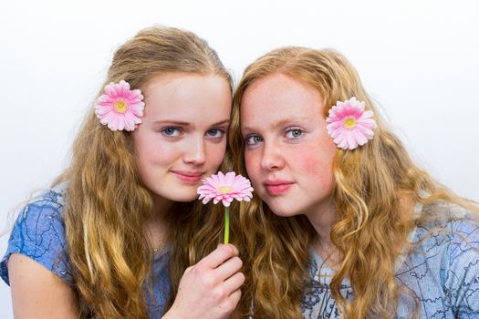 Two caucasian teenage girls with pink flowers in hair isolated on white background