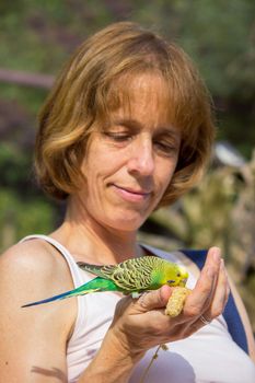Caucasian woman feeding budgerigar bird on hand