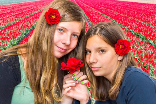 Two caucasian teenage sisters with red roses in front of tulips field in holland