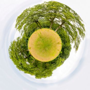 Pasture with trees like little planet floating in sky