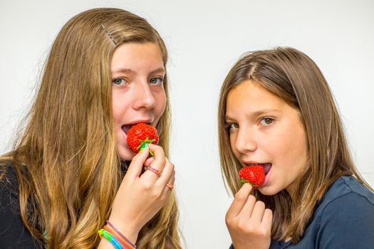 Two european teenage girls eating strawberries isolated on white background