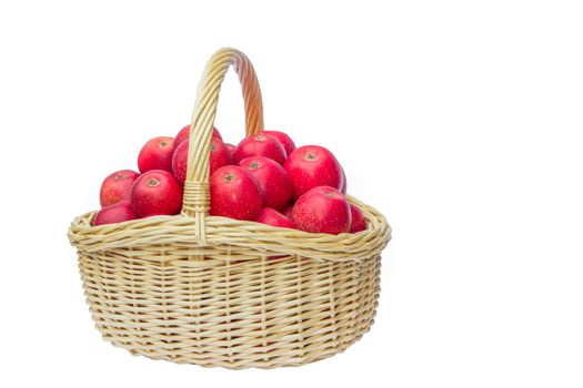 Full basket with many stacked red apples isolated on white background