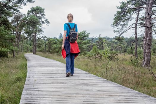 Woman hiking on wooden footpath in nature with pine trees