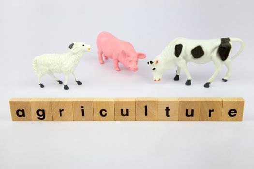 Plastic cattle goat pig and cow with word agriculture on wooden blocks