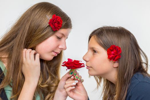 Portrait of two caucasian teenage girls smelling red roses