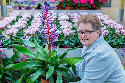 Elderly caucasian woman showing flowering plant in garden shop