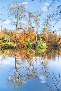 Autumn  forest with mirror image in water of pond on sunny day