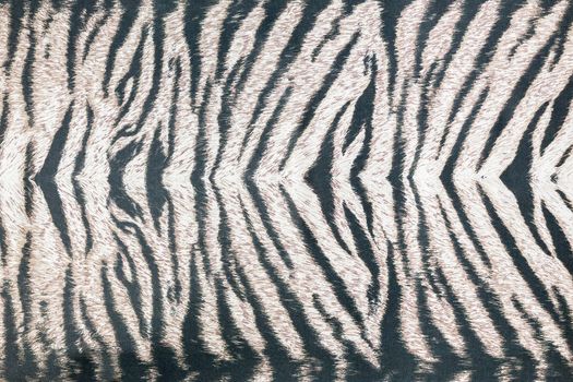 Background or backdrop of vertical striped animal fur print