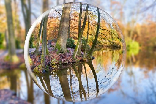 Glass sphere reflecting autumn forest with tree trunks and pond